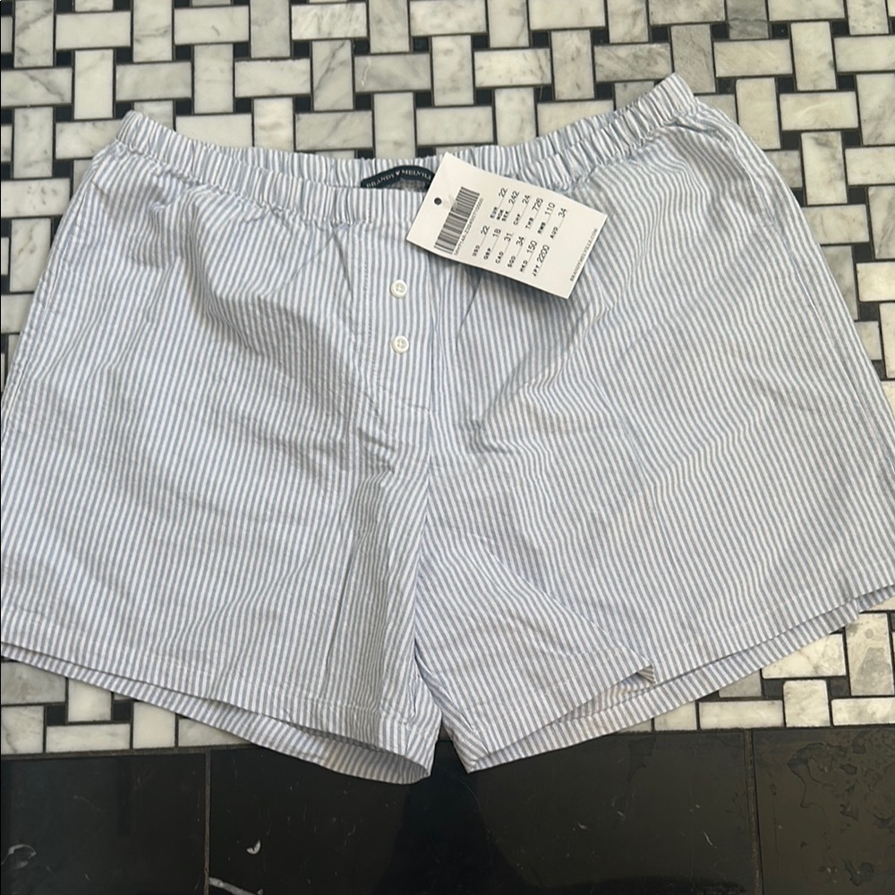 Brandy Melville Blue Striped Women Shorts